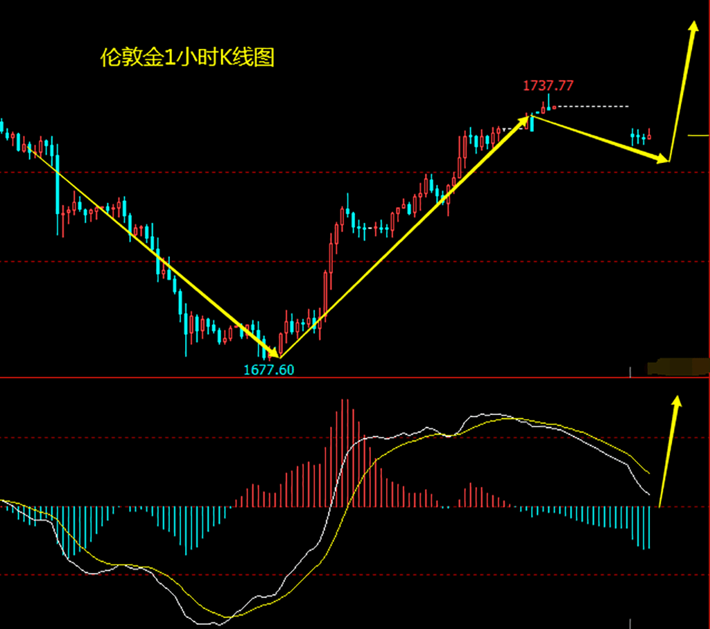 5月4日黄金走势图(5月4日黄金走势图片)