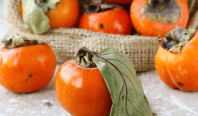 山上柿子成熟度 84cf9d9f194a4ac58936b5c614752dfe.png