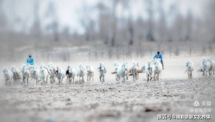 蔓什么成语_成语故事图片(2)