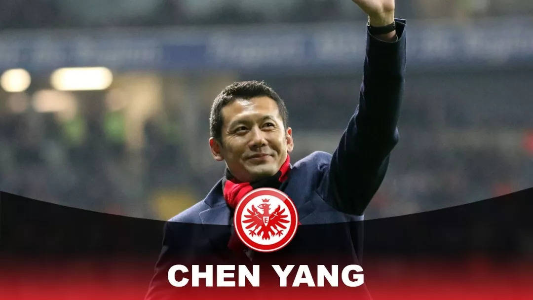 给足协点赞官方前国脚杨晨出任u16男足主帅曾是德甲悍将