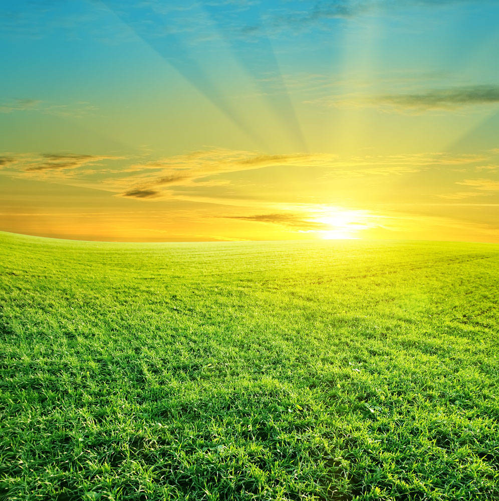 最高级的聪明是靠谱