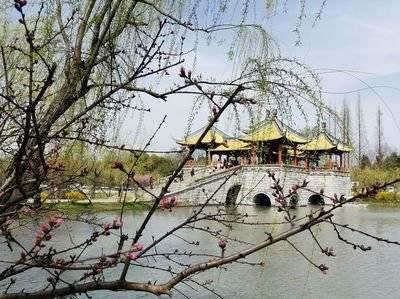 烟花三月下扬州：三月的扬州到底有多美丽？瘦西湖有话要说！