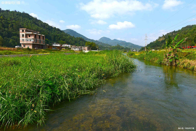 广西隐世小城，山清水秀人长寿，出产远近闻名的绿色“巨型草鱼”