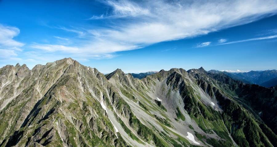 2021年一季度家电企业的新动作-家电圈官网