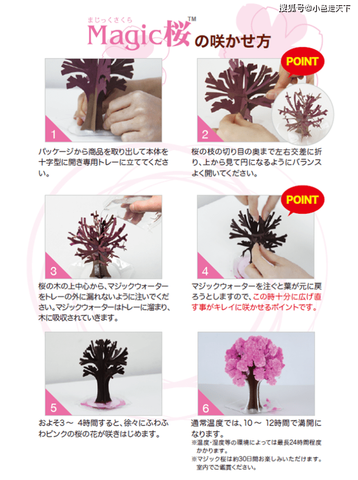 自己的樱花自己种 浇水就会开的纸樱花 日本