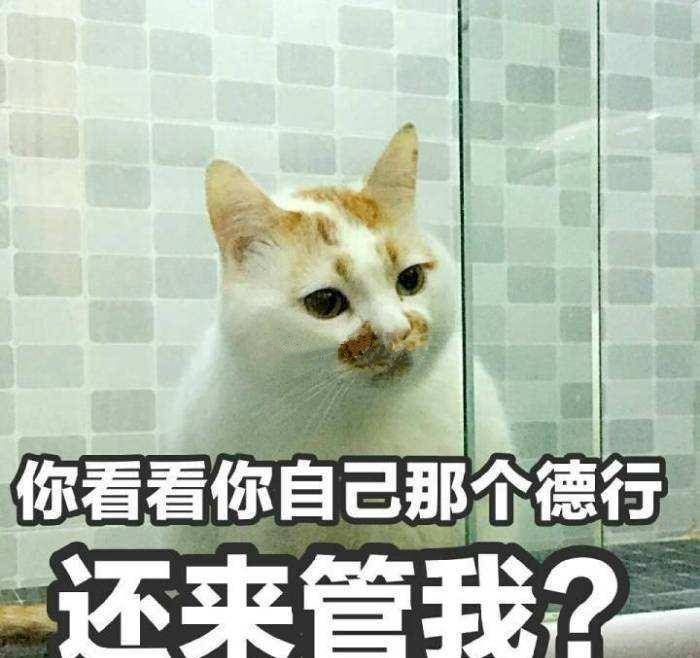 307066f96a7041158144efbdeedd7d91.jpeg