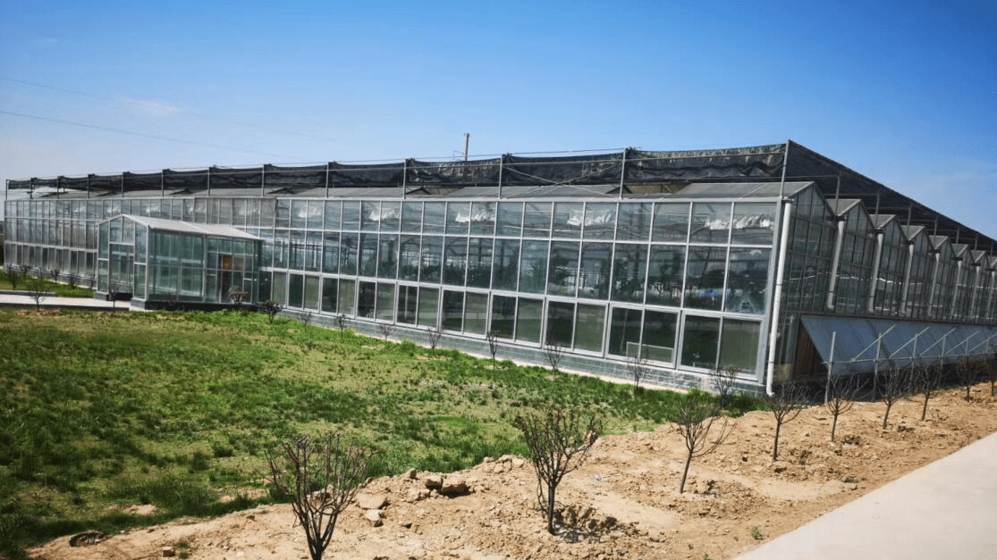 智能温室是如何为高品质作物生产保驾护航的 技术交流 行业动态 山东荷润创丰农业发展有限公司 智能温室是如何为高品质作物生产保驾护航的 技术交流 行业动态 山东荷润创丰农业发展有限公司