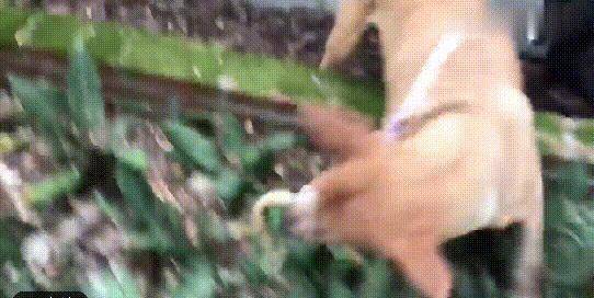 0fc9073170a3485a827e41e4a3bbd8c1.jpeg