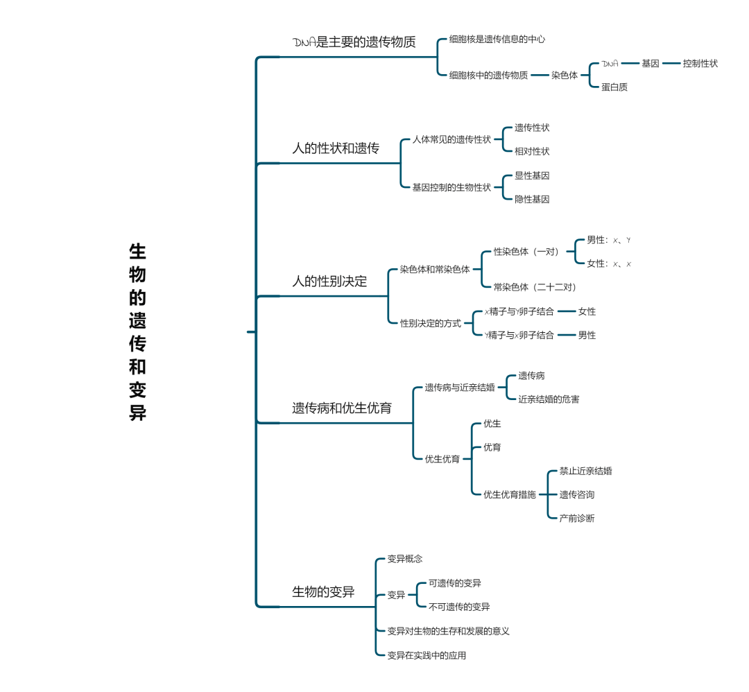 遗传和生殖思维导图图片
