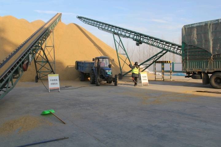 工作,中储粮黑龙江分公司加大去库存力度,在主产区腾倒仓容2000余万吨