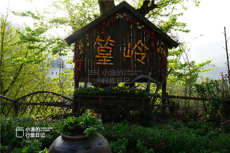 江西婺源县最有名的篁岭古村，票价145元，值得一去吗？