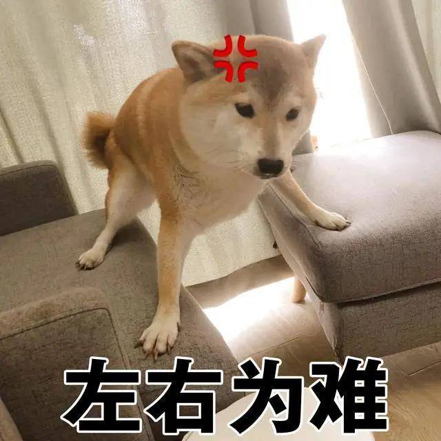 a184711b09d945d58b9e4c6137335006.jpeg