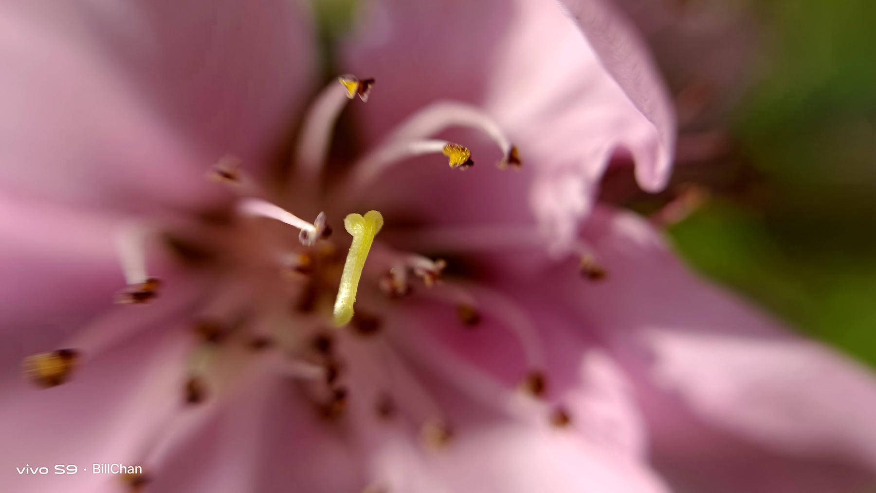 vivos9上手体验有了她真能照亮你的美吗