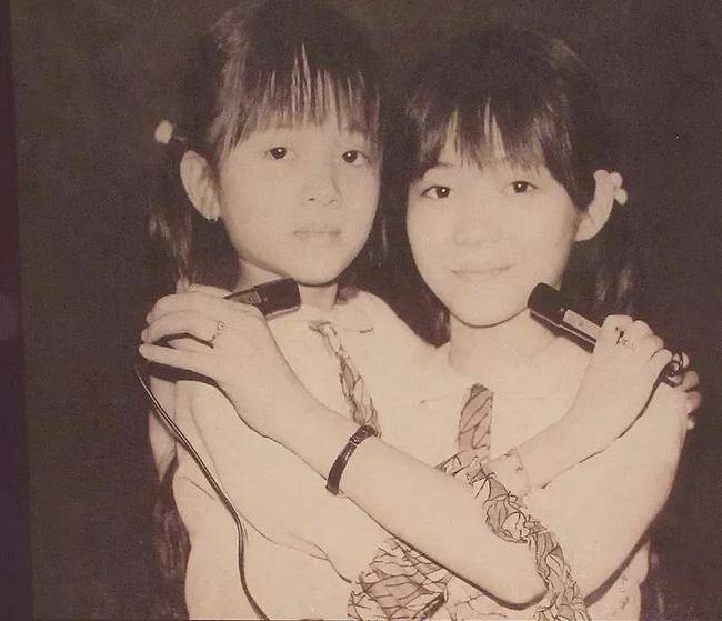 香港的女儿你的一生寂寞也辉煌梅艳芳你一直特别