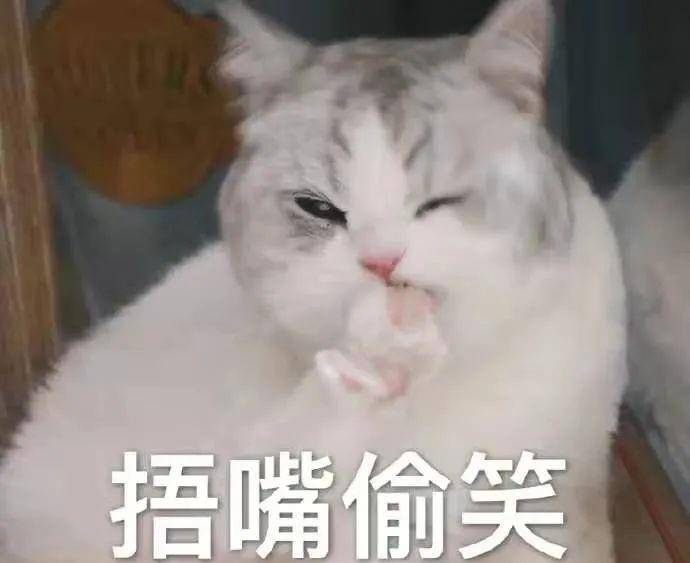 5d5eb7400c2f47efb3ed5b4adbaf228d.jpeg