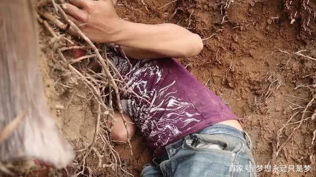 越南人太爱吃竹鼠，挖2米深坑把它挖出来，像“抬猪”一样抬回家
