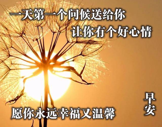 da5c06ab932c4211a6feac49610f2ff4.jpeg