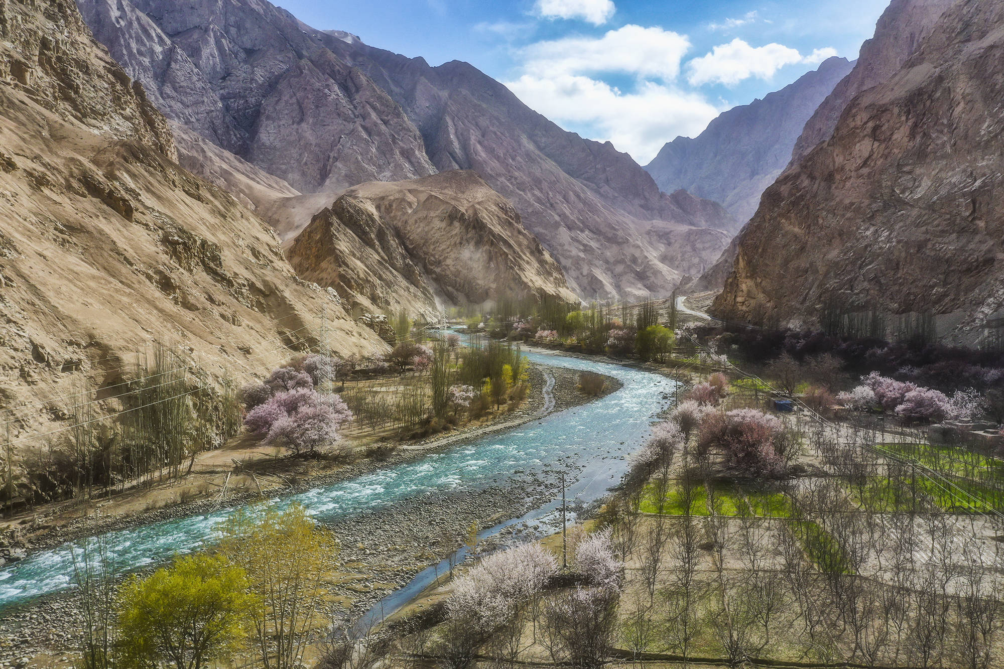 不负春光！自驾到新疆看杏花，其中一个村子登上过国家地理杂志