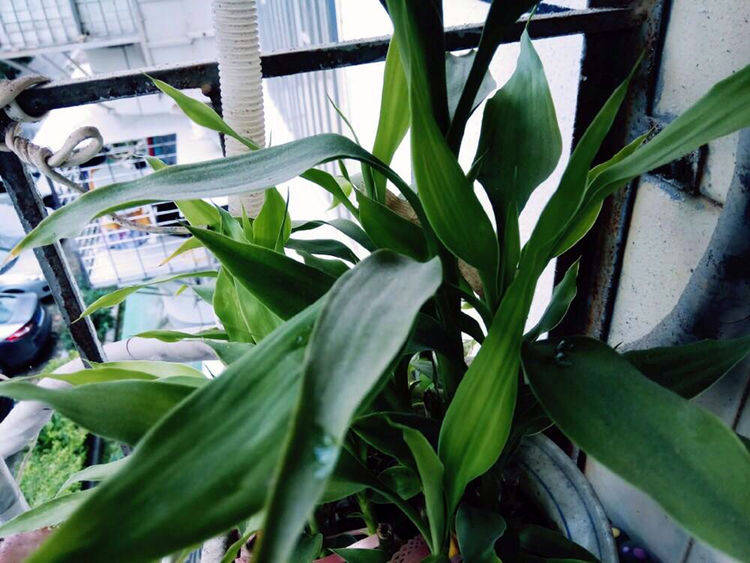 5d97593cf1c143028b6097a6c6197ddc.jpeg