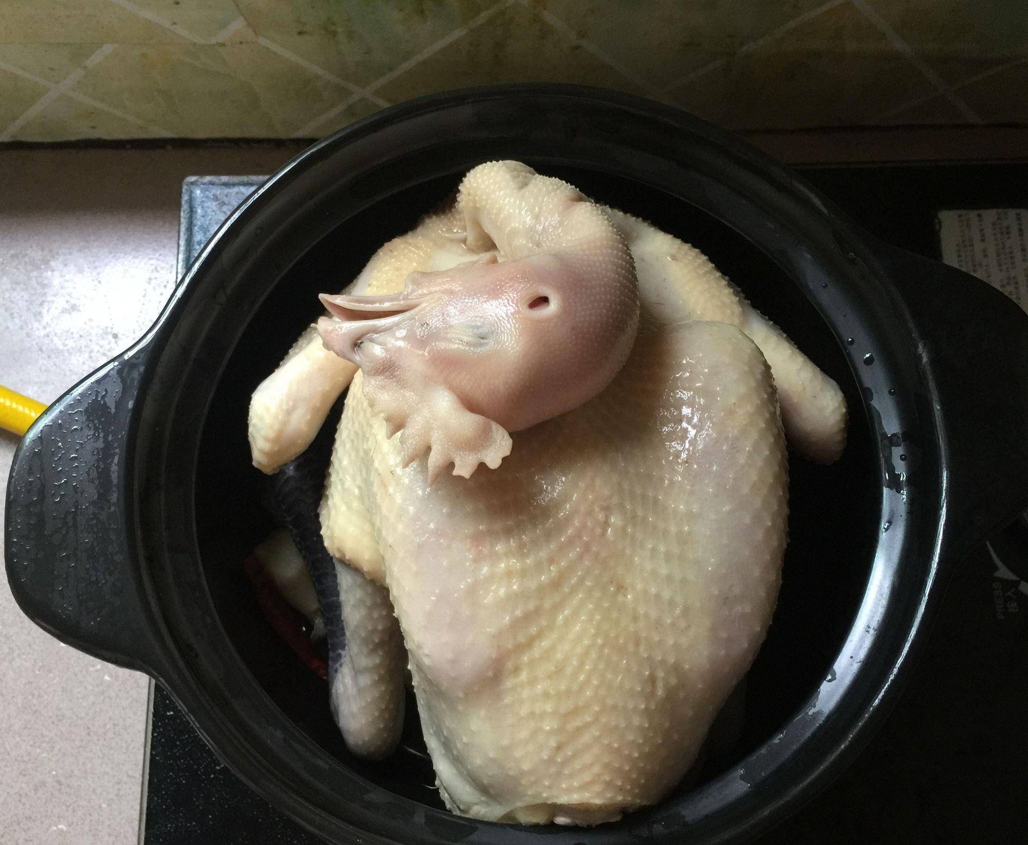 鸽子怎么吃不上火又滋补 5ecd6a99519e46b18706ed973935f501.jpeg