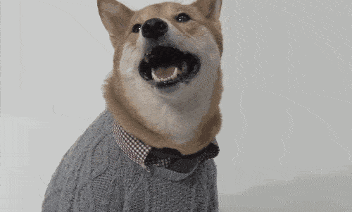 a04fb9f844974986b6a9f66bbcc474f1.gif