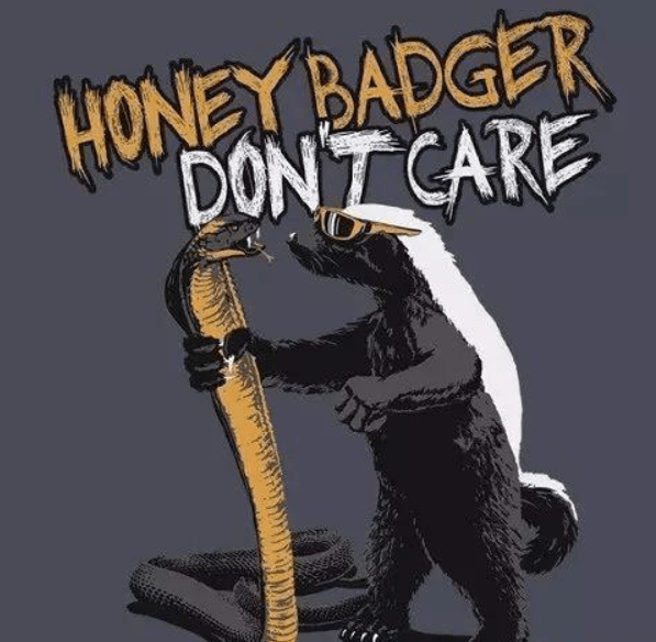 大连蛇岛大约有20000条毒蛇,如果放2只蜜獾上去会怎么样?