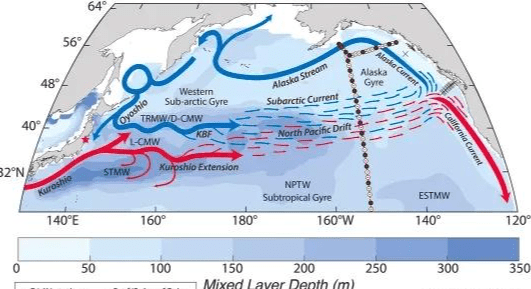 太平洋暖流图片