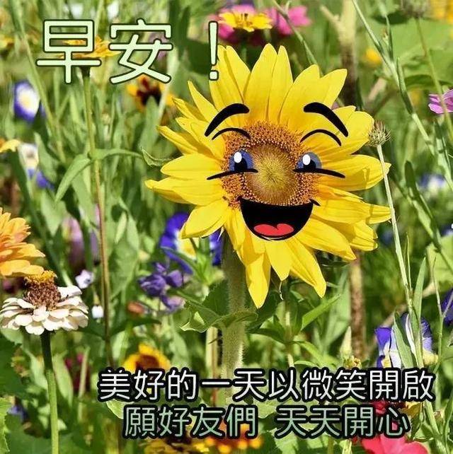 朋友早安!_生活