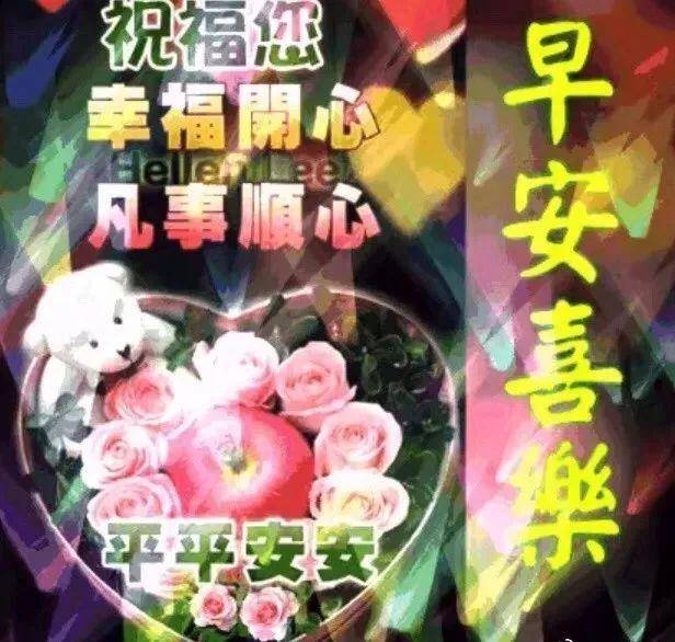 微信最新早上好问候图片鲜花带字 暖心早安心语问候语录 祝福