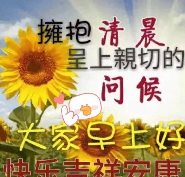 旱晨问候语早晨好  最新早上好图片 动人图片