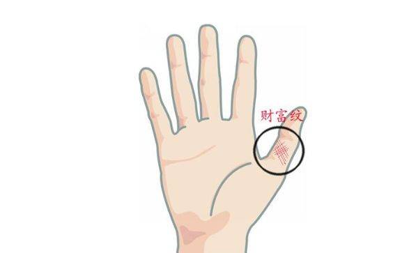 财富纹财富纹是在大拇指第二节上的井字纹路,不管男女,只要手上有这个