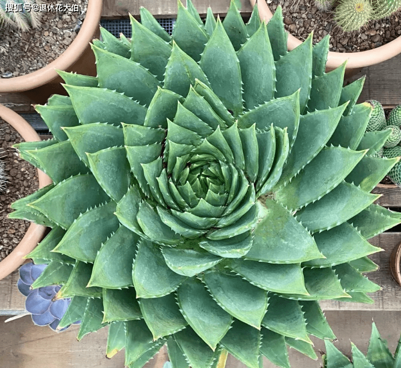 1e7fbf623bdb419598ccf3fd2e78b1e1.png