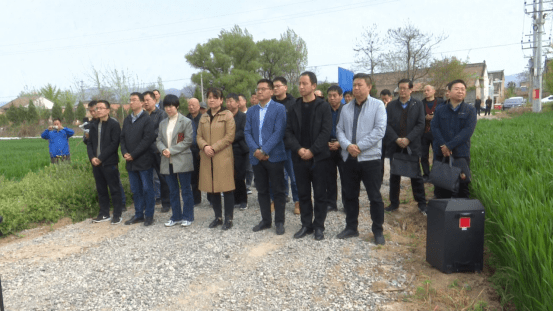 宝鸡市岐山县召开小麦条锈病防控推进现场会