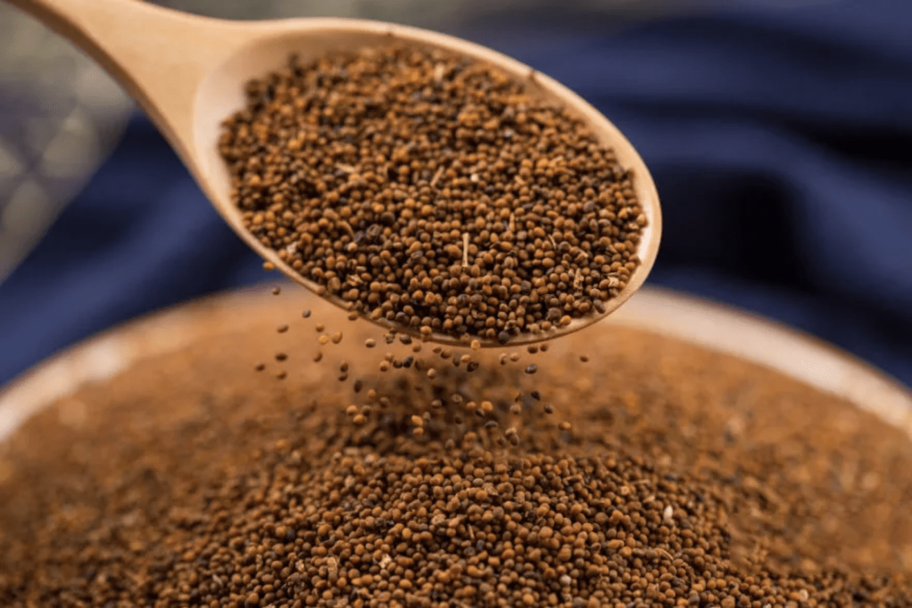 诗经里的菟丝子既是诗人笔下爱情又是医家方中良药