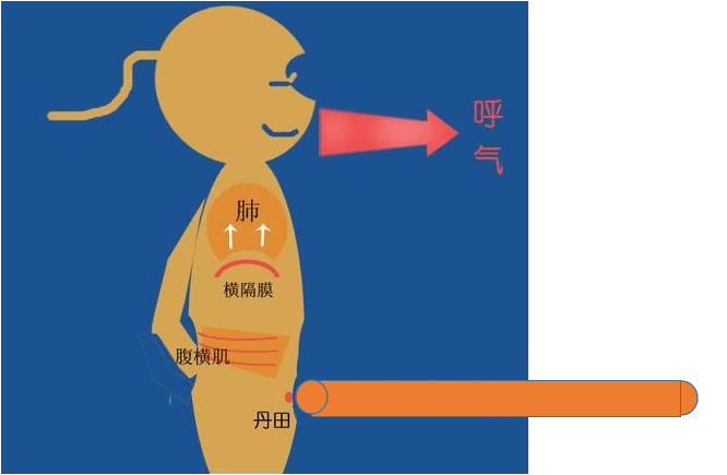 今天讲一点可操作性的干货