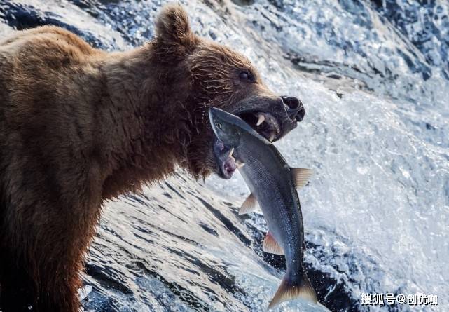 4月日起 桃色浪漫 旧情萌动 相遇伯乐 事业稳定的3个星座 爱情