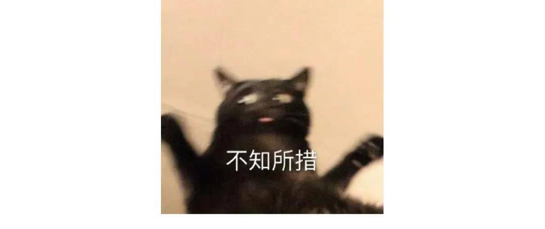 8d8e1dd36124443c89ee99926772f11c.jpeg