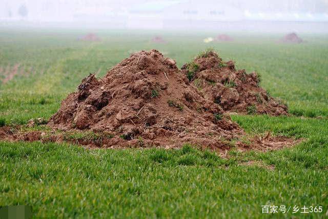 原创农村俗语:雨淋新坟,辈辈出侯!专家:不能盲目偏信