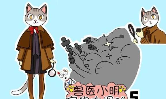 不用刷牙的零食 65f9eede7d4842aa993bcc43edf67eab.jpeg