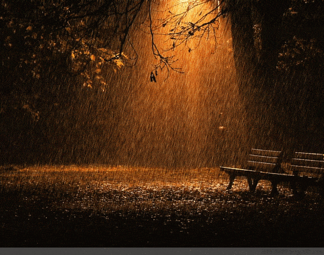 喜欢秋雨造句
