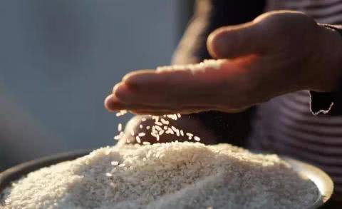 大米怎么储存放冰箱 c709b64a2fe34612ab86a269ce69349f.jpeg