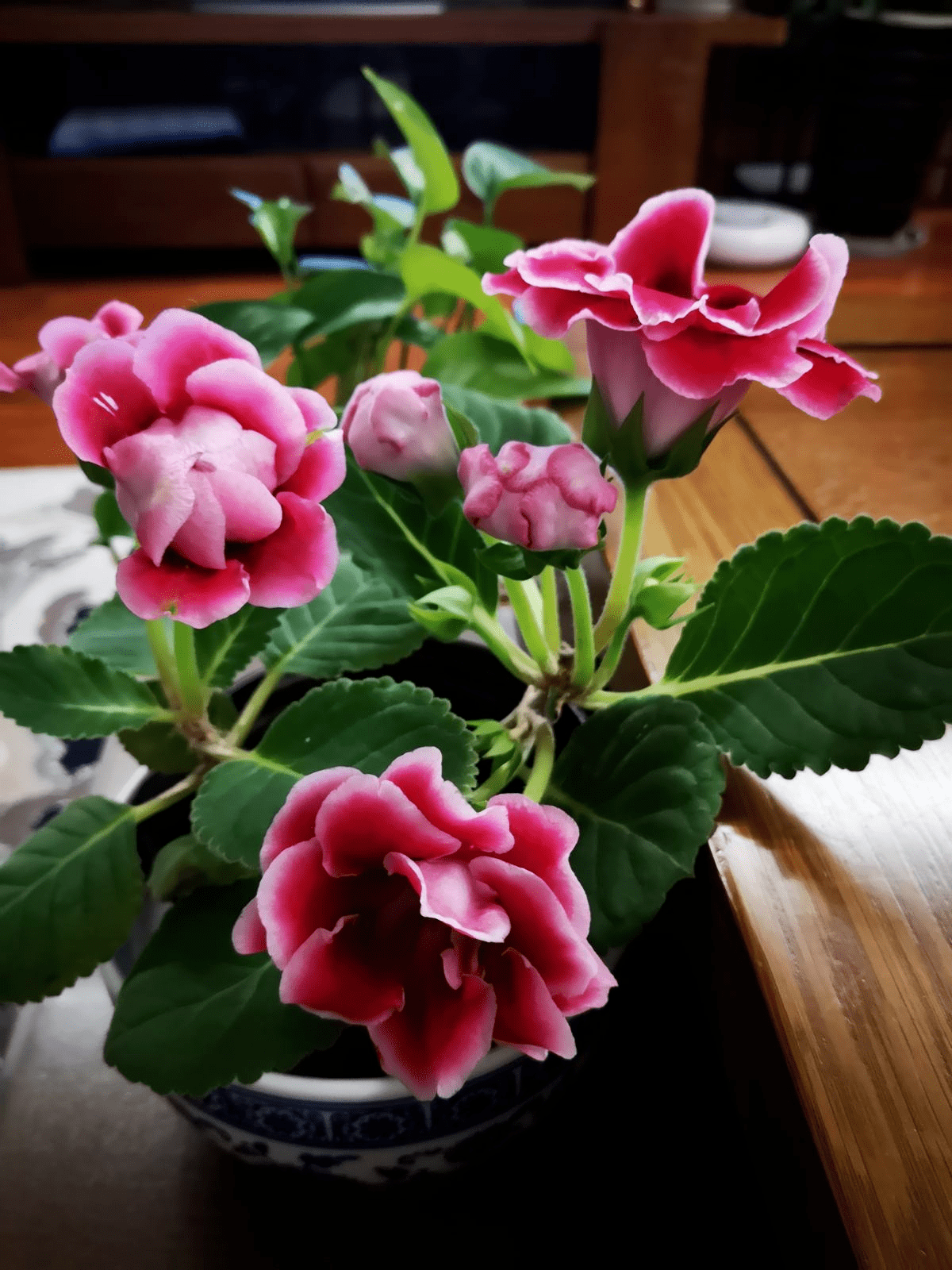 7098a0782e014b6fab5c183360f736f3.png