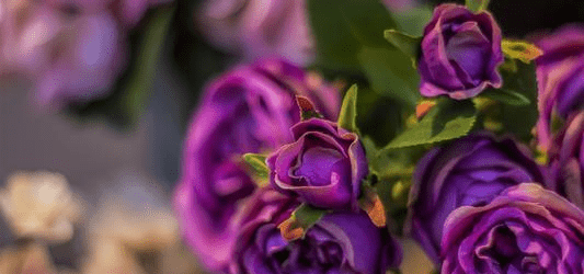2fd9cac745134f81ac3287572c2f7501.png