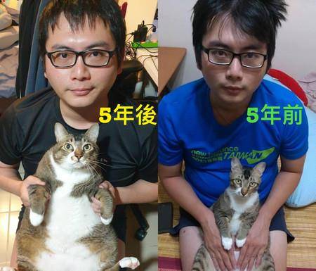 你们经历了什么？5年胖10公斤，1人1猫就这样一起幸福肥！_手机搜狐网