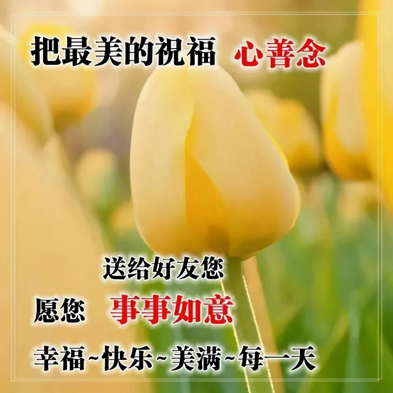 早上好祝福词句图片,春去夏来阳光灿,愿快乐幸福呵护你的每一天 早安