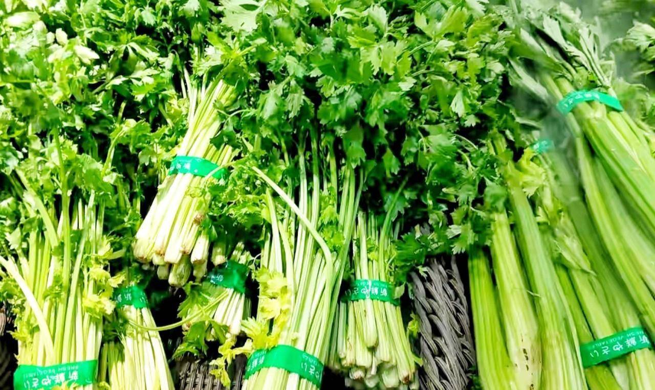 立马通便芹菜 802a4d008f664fc6a1dd092b116054c3.jpeg