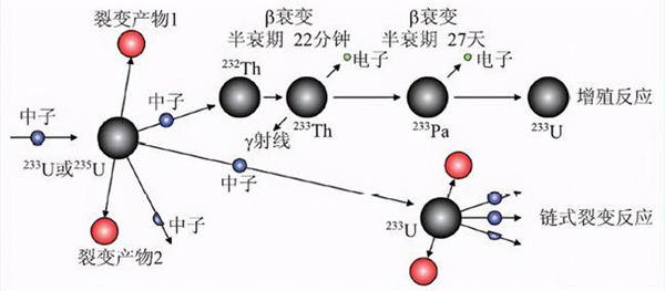 我国研制核弹期间,犹太商人送来紧缺物资,多亏他及时识破陷阱