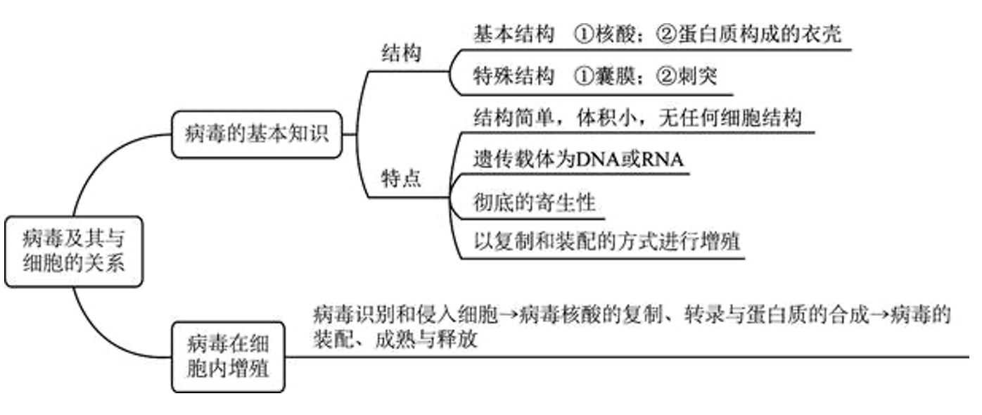 丁明孝细胞生物学第5版笔记整理达聪学习网