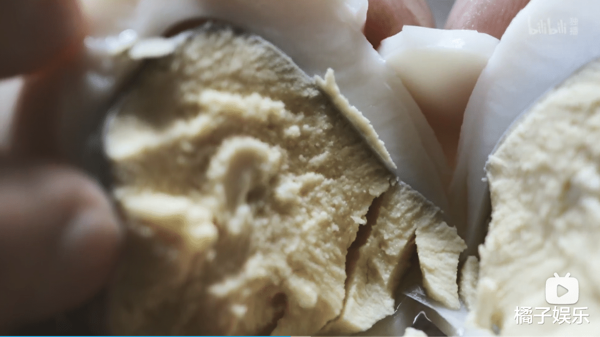 奇食记片如其名童子尿蛋有缝才入味黎族鱼茶不输鲱鱼罐头