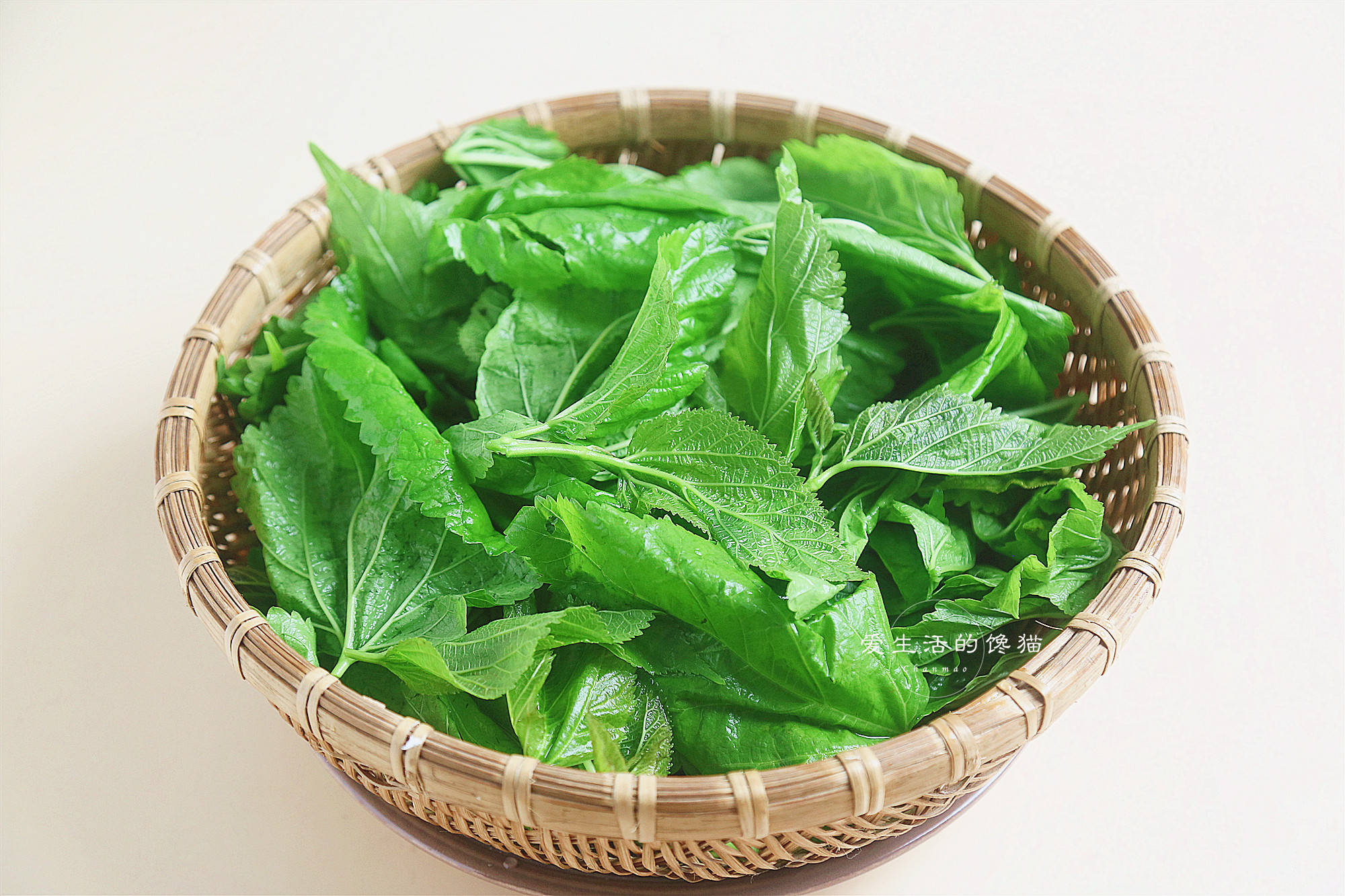 原创
遇到这菜别手软,买回煮锅汤,清热降火,润肺燥,老人孩子都需要
